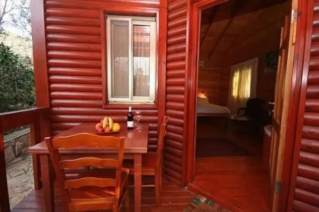 Alon Cabin