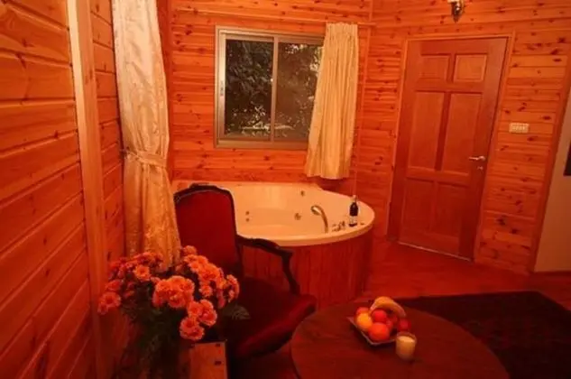 Alon Cabin