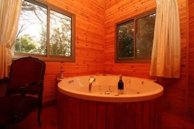 Alon Cabin