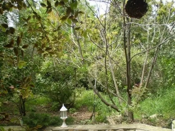 Design Dağ Evi, 1 Yatak Odası, Sigara İçilmez, Avlu