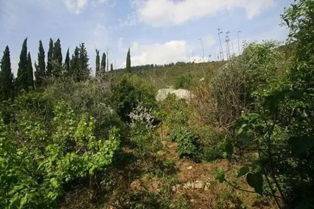 Design Dağ Evi, 1 Yatak Odası, Sigara İçilmez, Avlu