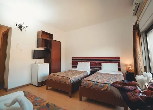Deluxe Double/Twin Room with City View