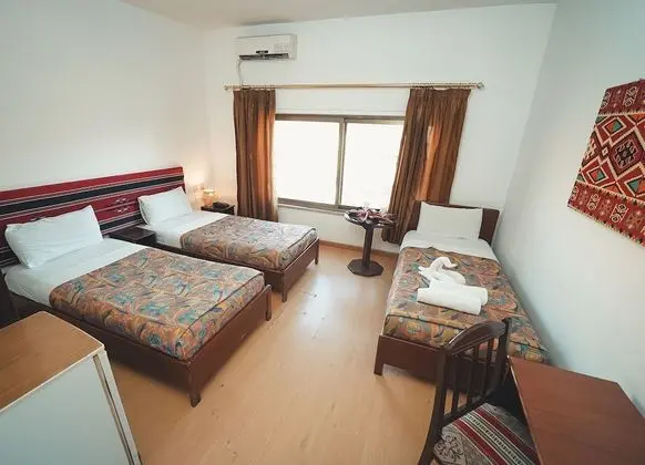 Deluxe Double/Twin Room with City View