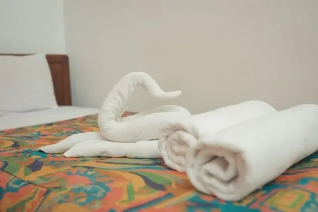 Superior SIngle or Queen Room