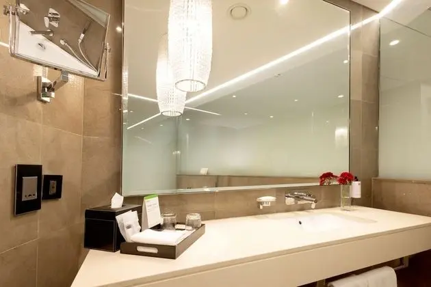 Oda, 1 En Büyük (King) Boy Yatak, Business Dinlenme Salonu Kullanımı, Şehir Manzaralı (Large Corner)