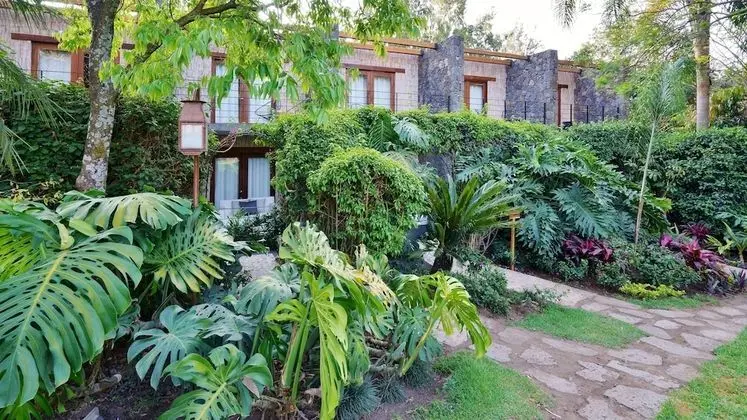Premier Tek Büyük Yataklı Oda, Balkon, Bahçe Manzaralı