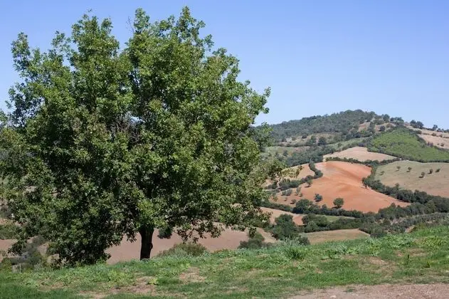 Villa, Sigara İçilebilir