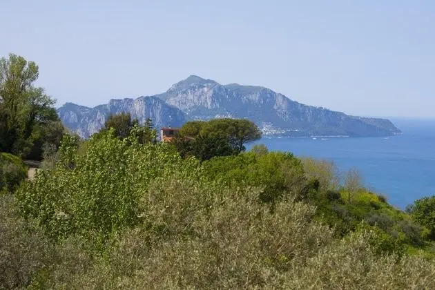 Villa, Sigara İçilebilir