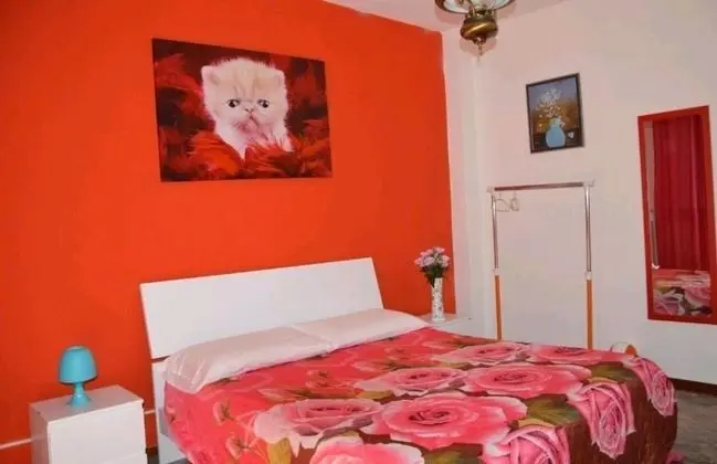 Classic Tek Büyük Yataklı Oda, 1 Büyük (Queen) Boy Yatak, Ortak Banyo