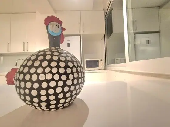 Executive Apart Daire, Özel Banyo