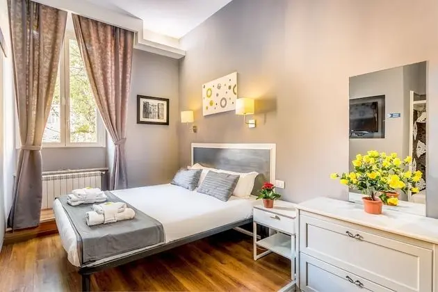 Tek Büyük veya İki Ayrı Yataklı Oda (102)