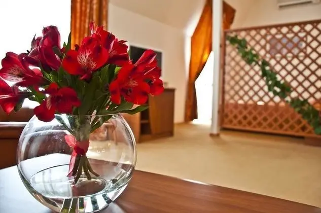 Stüdyo, 1 En Büyük (King) Boy Yatak