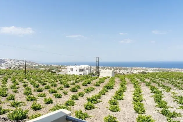 Panoramic Apart Daire, Balkon
