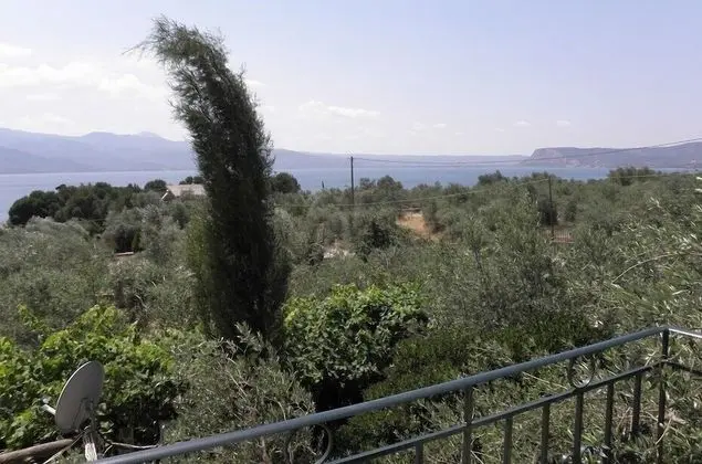 Tek Büyük veya İki Ayrı Yataklı Oda, Balkon