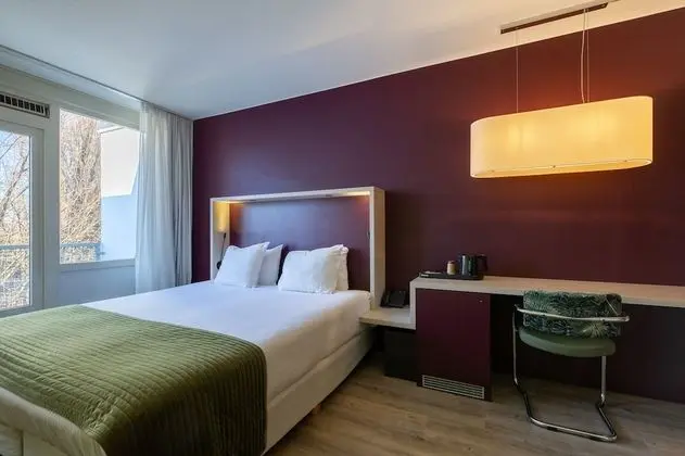 Deluxe Oda, 1 En Büyük (King) Boy Yatak, Sigara İçilmez