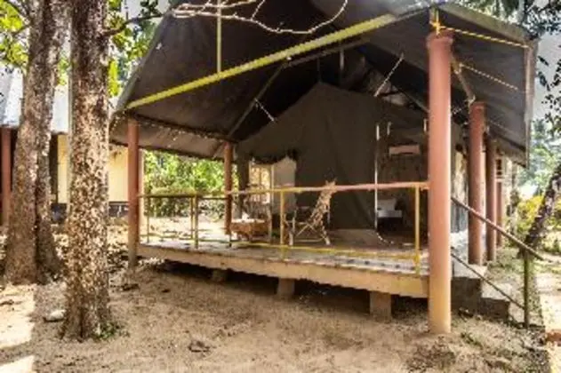 Tent