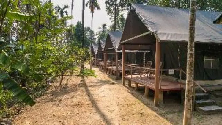 Tent