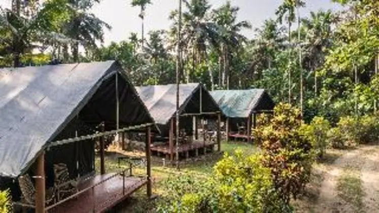 Tent