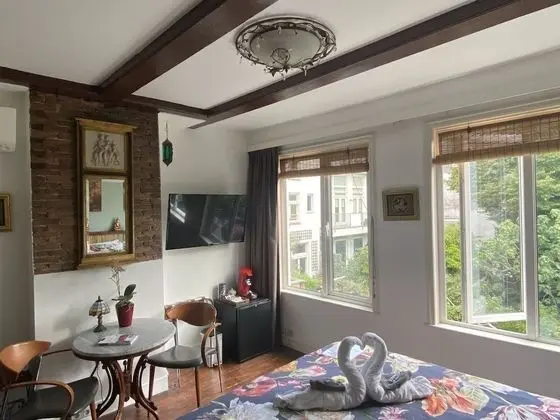 Premium Tek Büyük veya İki Ayrı Yataklı Oda, Banyolu/Duşlu