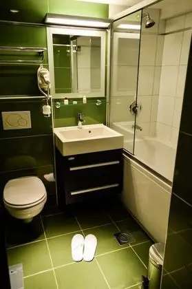 Standard Tek Büyük Yataklı Oda, 1 Büyük (Queen) Boy Yatak, Şehir Manzaralı