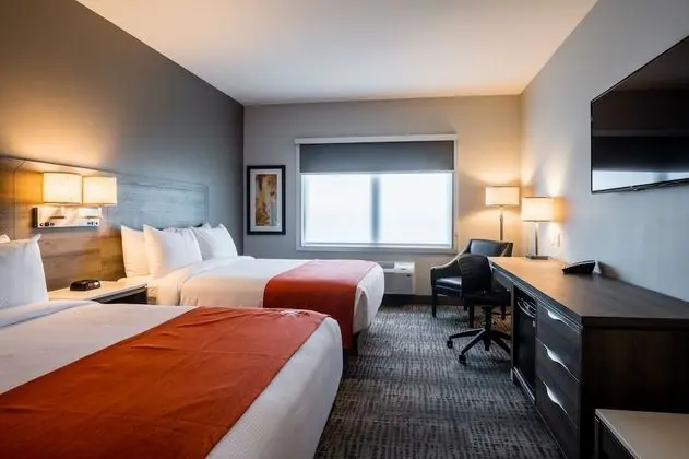 Deluxe Oda, 2 Büyük (Queen) Boy Yatak