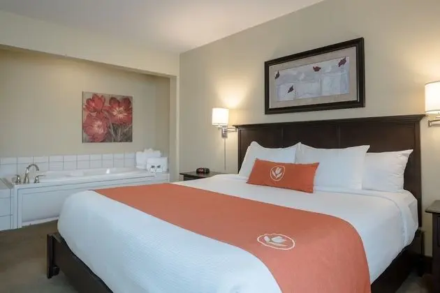 Honeymoon Süit, 1 En Büyük (King) Boy Yatak ve Çekyat