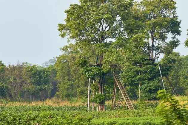 Odadan Manzara