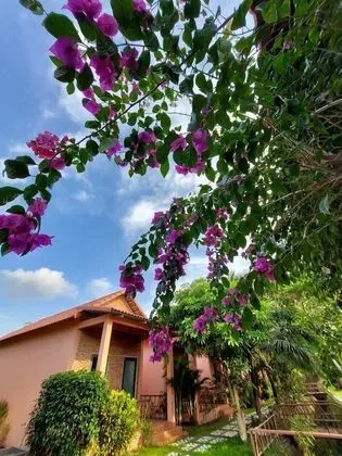 Family Oda (Bungalow)