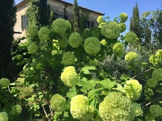 Ev, Sigara İçilebilir