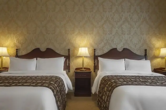 Deluxe Tek Büyük veya İki Ayrı Yataklı Oda, 2 Çift Kişilik Yatak, Özel Banyo