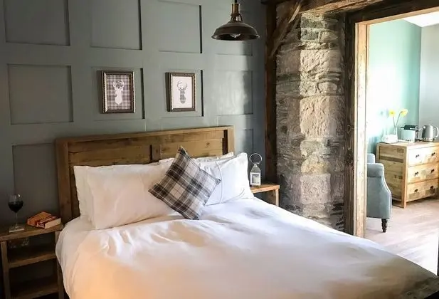 Tek Büyük Yataklı Oda, 1 En Büyük (King) Boy Yatak (Ben Arthur)