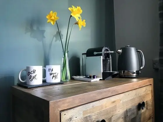 Tek Büyük Yataklı Oda, 1 En Büyük (King) Boy Yatak (Ben Arthur)