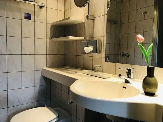 Business Tek Büyük Yataklı Oda (Plus)