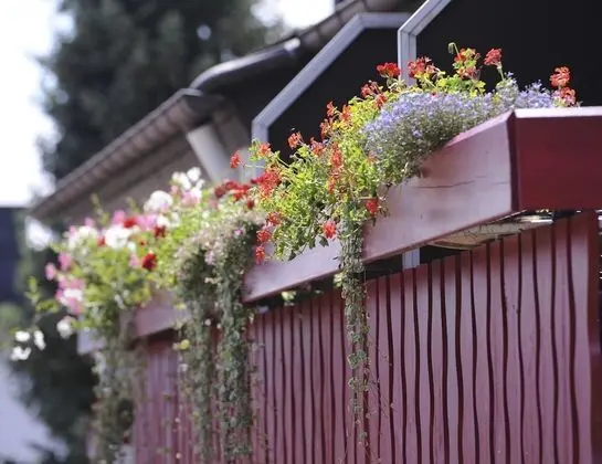 Tek Büyük Yataklı Oda, Balkon