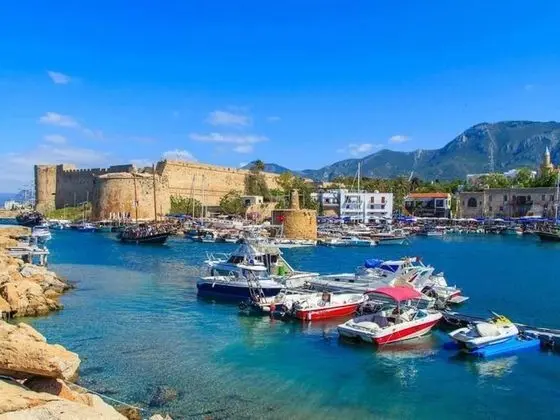 Villa, 3 Yatak Odası, Şömine