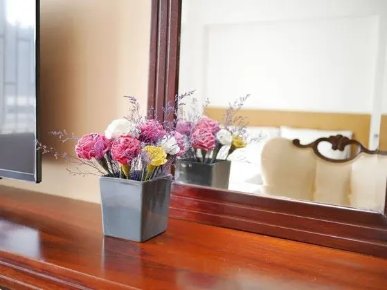 Deluxe Stüdyo, Şehir Manzaralı