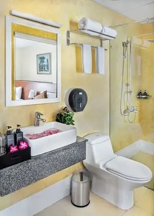 Deluxe Apart Daire, 1 Yatak Odası, Mutfak
