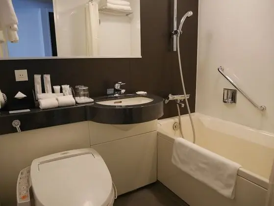 Standard Oda, 1 Büyük (Queen) Boy Yatak, Business Dinlenme Salonu Kullanımı