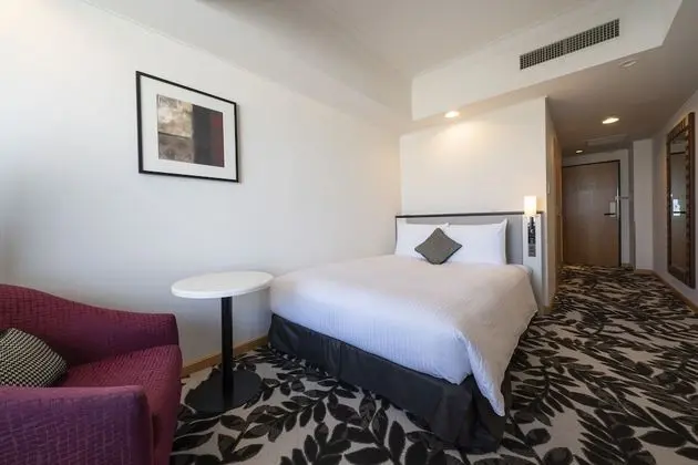 Standard Oda, 1 Çift Kişilik Yatak, Sigara İçilebilir