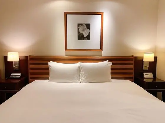 Premium Oda, 1 En Büyük (King) Boy Yatak (High Floor)