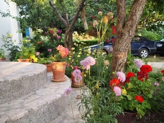 Apart Daire (Ana - great location, near the beach )