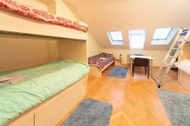 Ortak Ranzalı Oda, 1 Tek Kişilik Yatak (5-Bed)