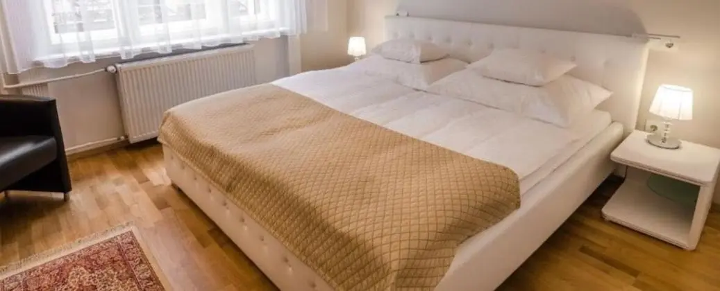 Deluxe Tek Büyük veya İki Ayrı Yataklı Oda, Sigara İçilmez, Şehir Manzaralı