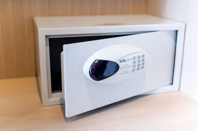 Deluxe Tek Büyük veya İki Ayrı Yataklı Oda, Sigara İçilmez, Şehir Manzaralı