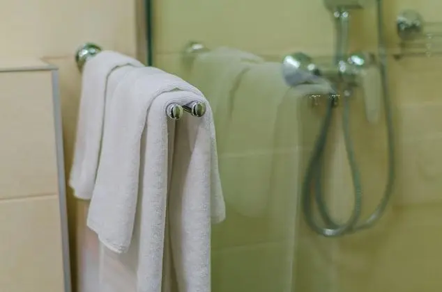 Deluxe Tek Büyük veya İki Ayrı Yataklı Oda, Sigara İçilmez, Şehir Manzaralı