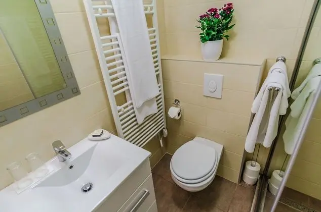Deluxe Tek Büyük veya İki Ayrı Yataklı Oda, Sigara İçilmez, Şehir Manzaralı