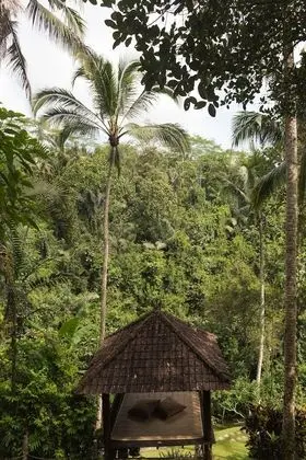 Villa, 1 Bedroom, Jungle View