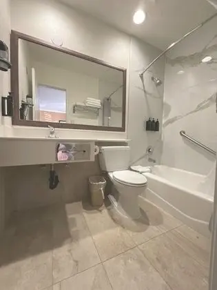 Deluxe Oda, 1 Yatak Odası