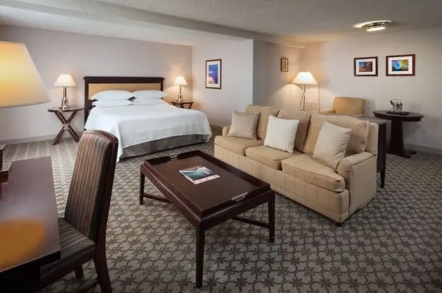 Garden Tower Junior Suite, 1 King Bed with Sofa Sleeper