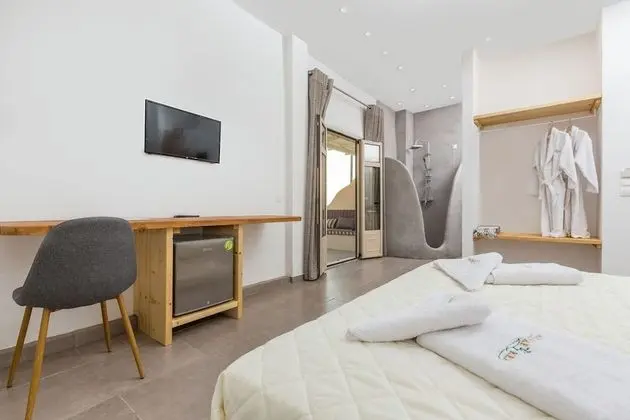 Comfort Double Room with side sea view and mini plunge pool